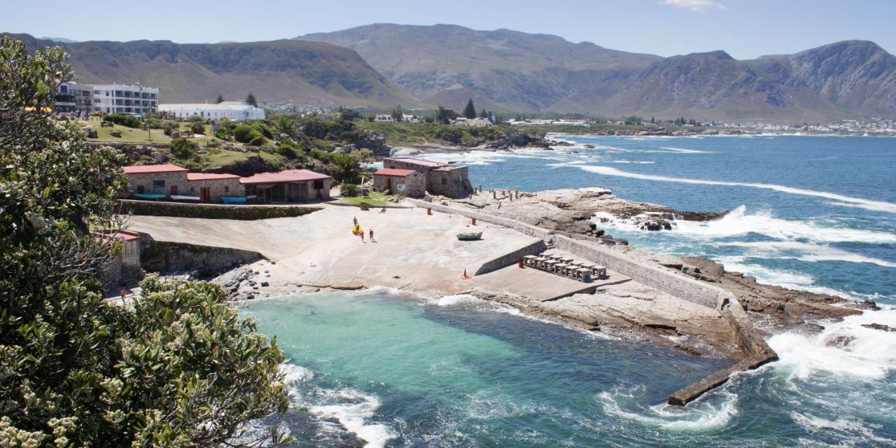 Zzzone Boutique Hostel Hermanus Kültér fotó